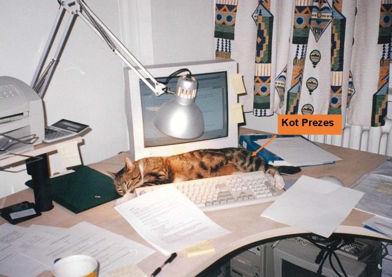 Kot prezes